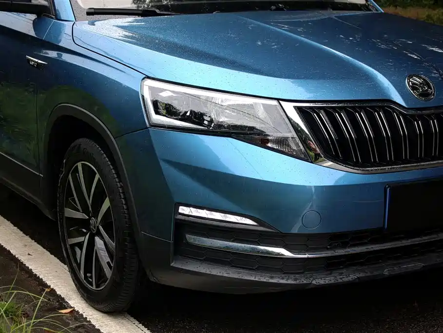 Skoda Kamiq 2020 — фото 14