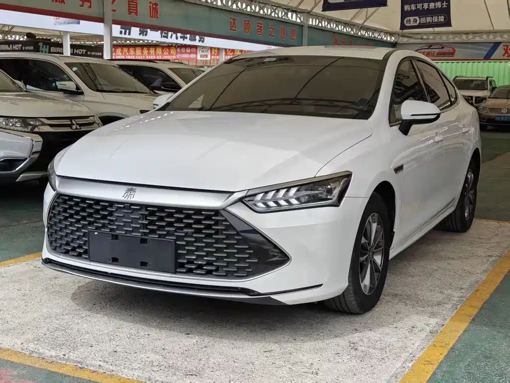 BYD Qin PLUS 2024 — фото 1