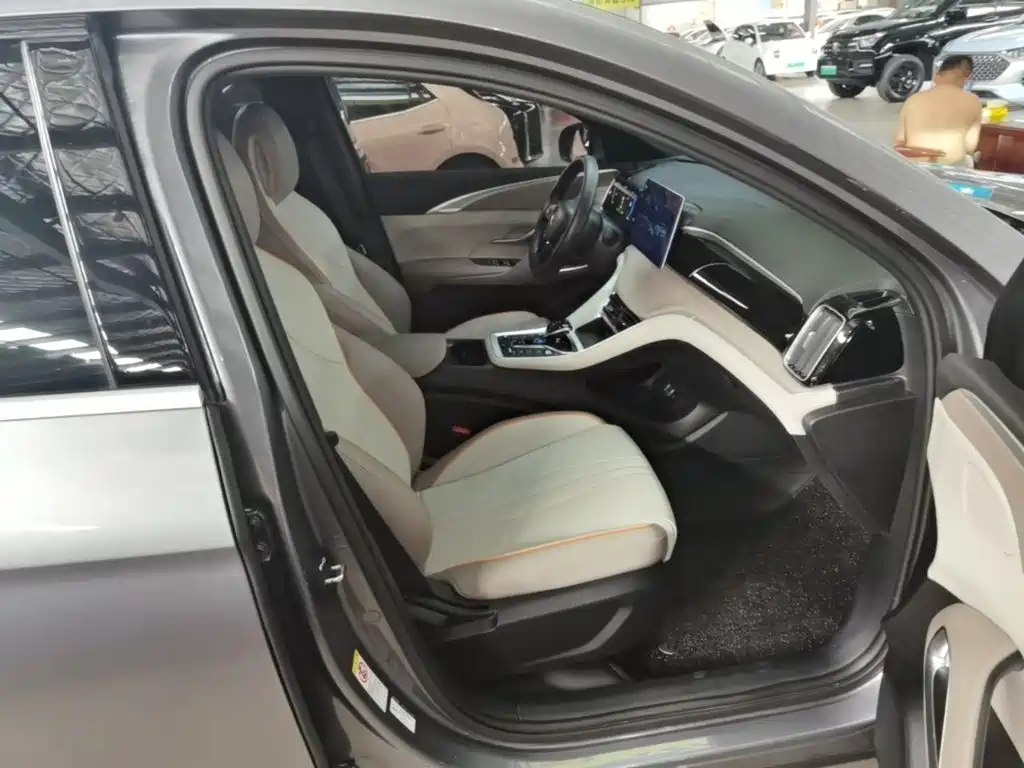 BYD Song Pro New Energy 2024 — фото 25