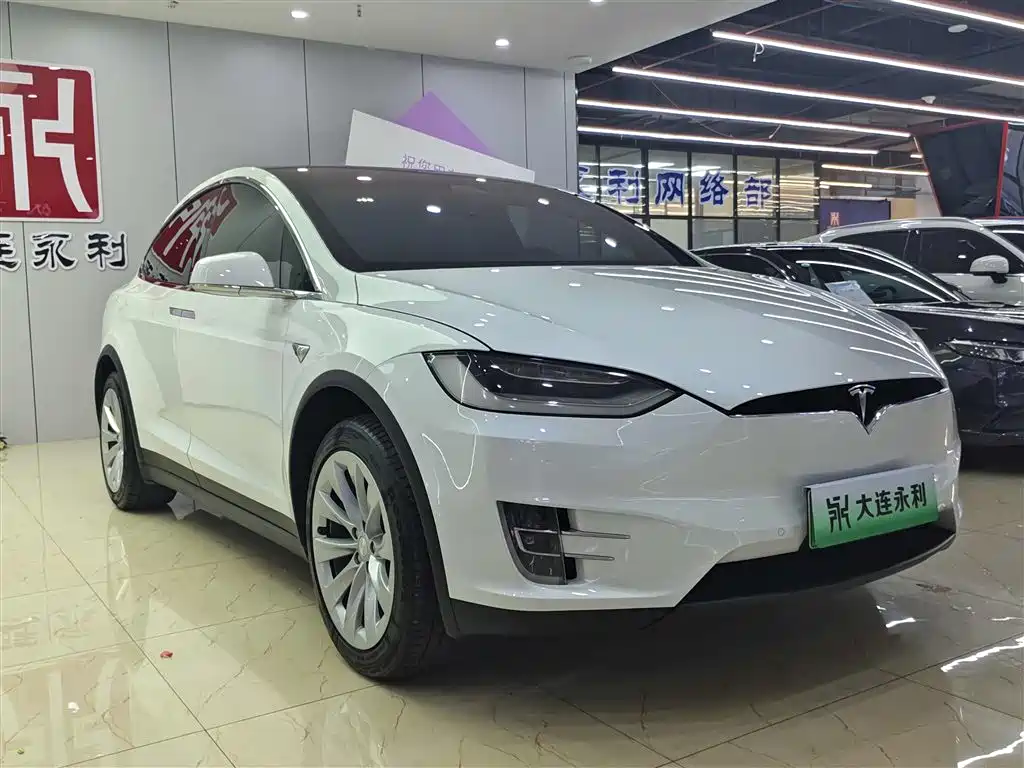Tesla Model X 2020 — фото 3