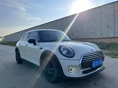 MINI MINI 2019