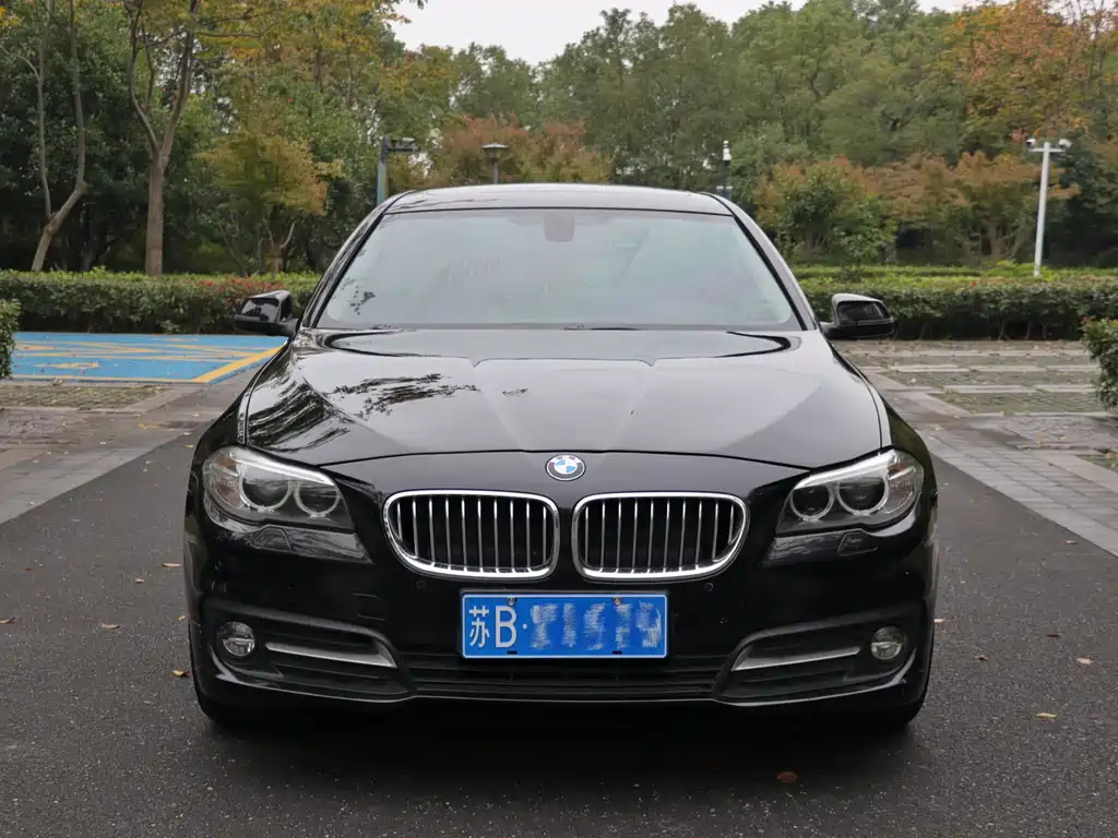 BMW 5 Series 2015 — фото 21