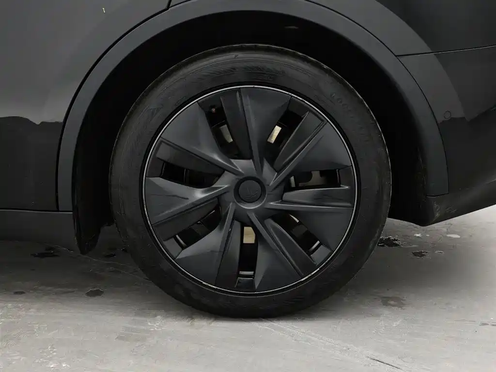 Tesla Model Y 2023 — фото 16