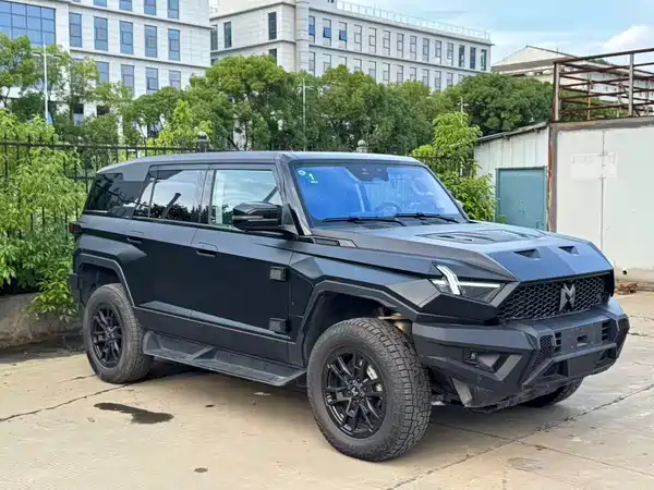 Mengshi 917 2025