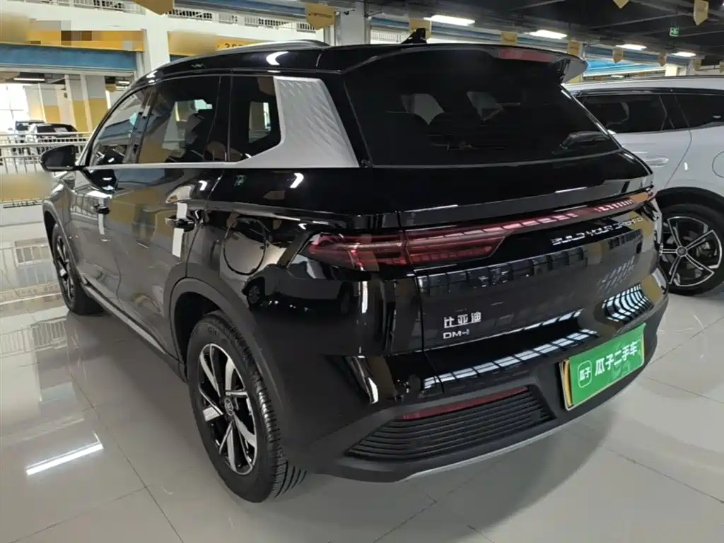 BYD Pro New Energy 2024 — фото 5