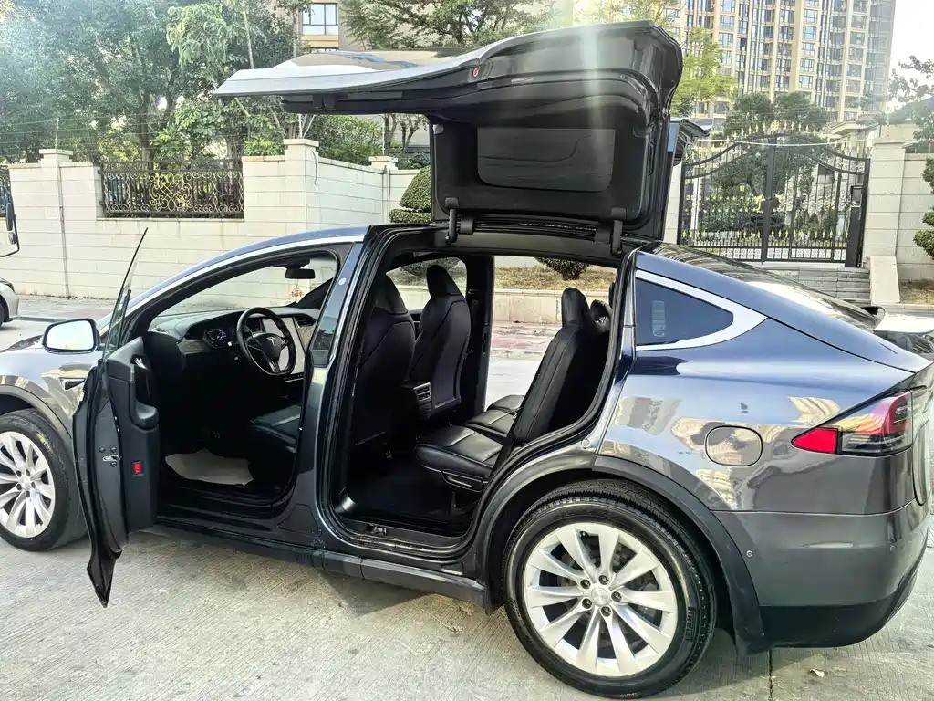 Tesla Model X 2020 — фото 8