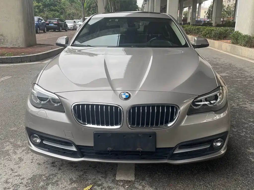 BMW 5 Series 2016 — фото 2