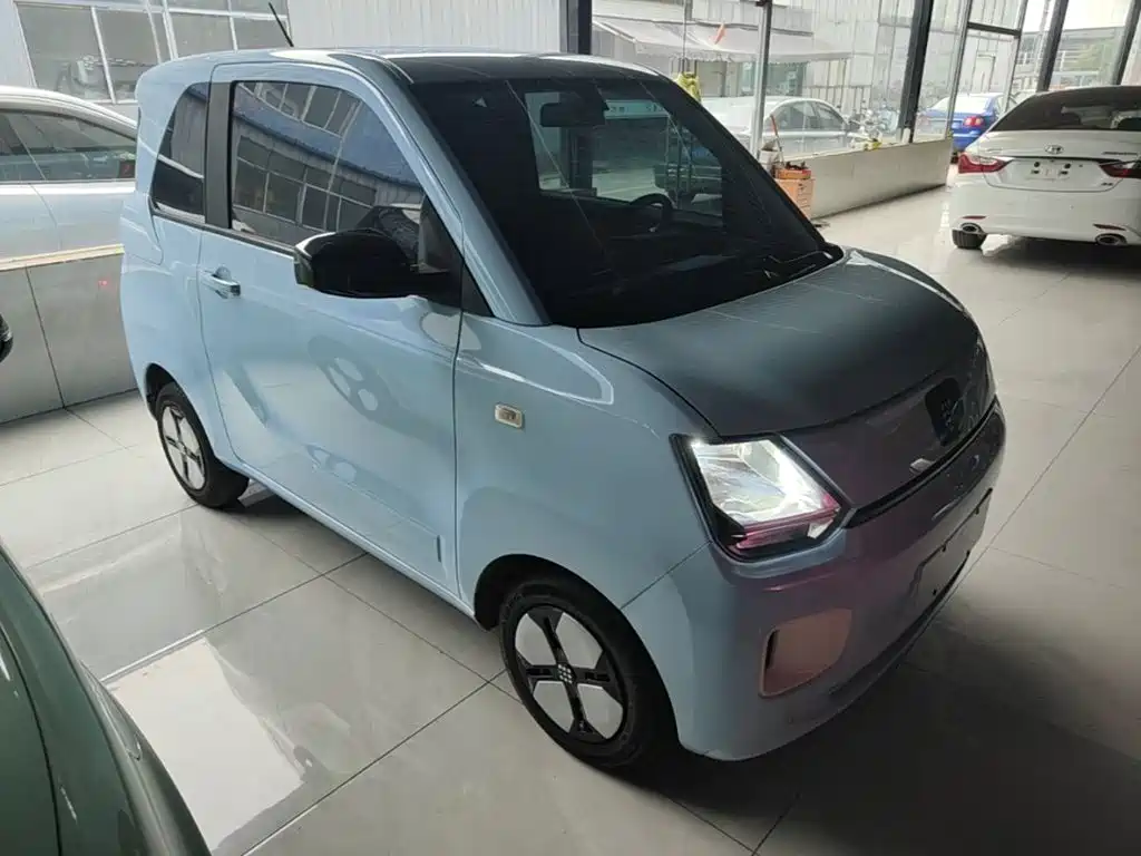 Fengguang MINIEV 2024