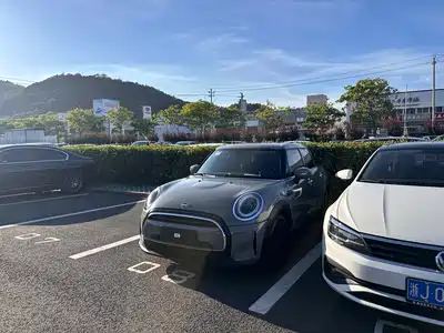 MINI MINI 2021