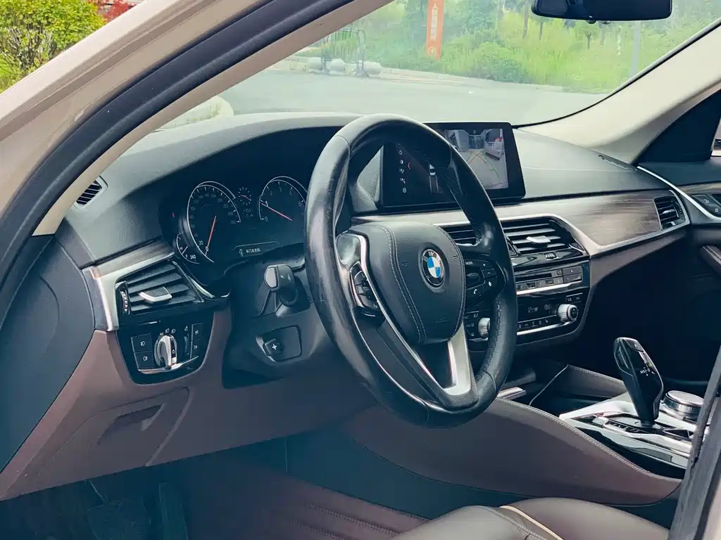BMW 5 Series 2017 — фото 11