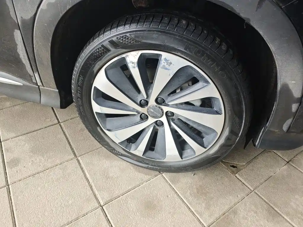 BYD Song PLUS New Energy 2024 — фото 24