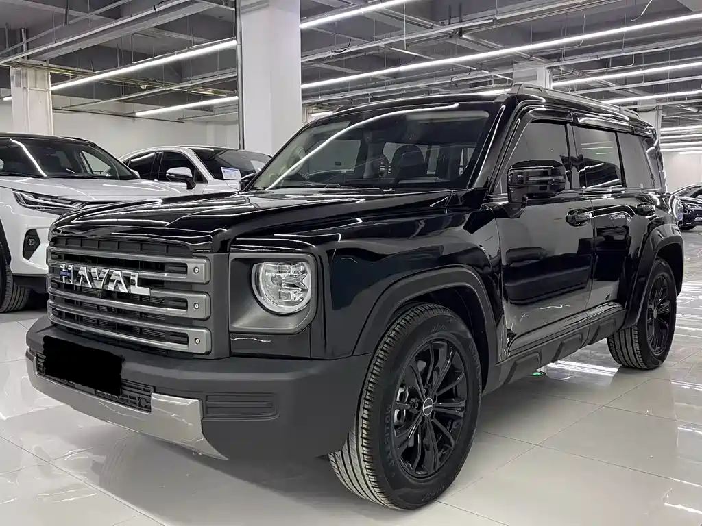 Haval Menglong New Energy 2024