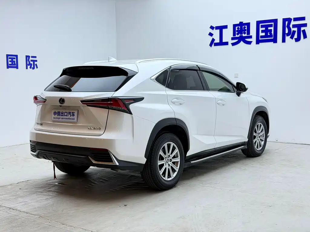 Lexus NX 2018 — фото 19