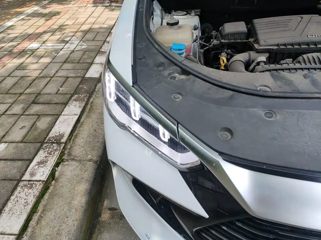 BYD Song Pro New Energy 2023 — фото 7