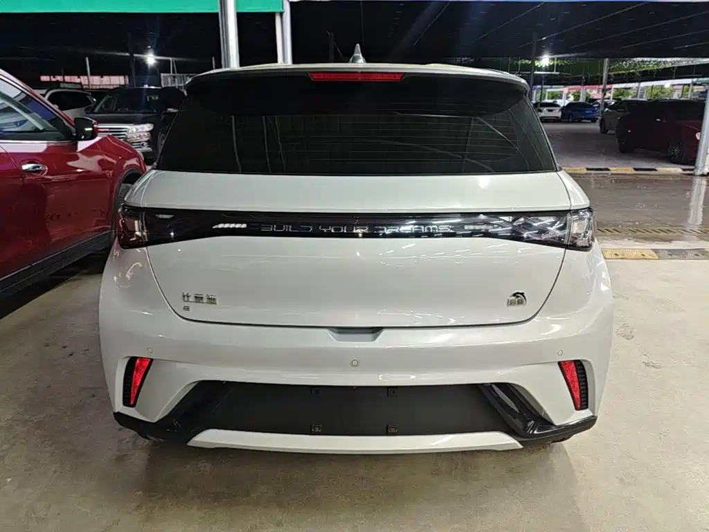 BYD Dolphin 2022