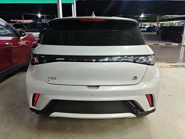 BYD Dolphin 2022