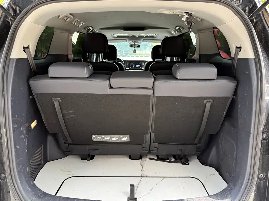 GAC Trumpchi M8 2023 — фото 10