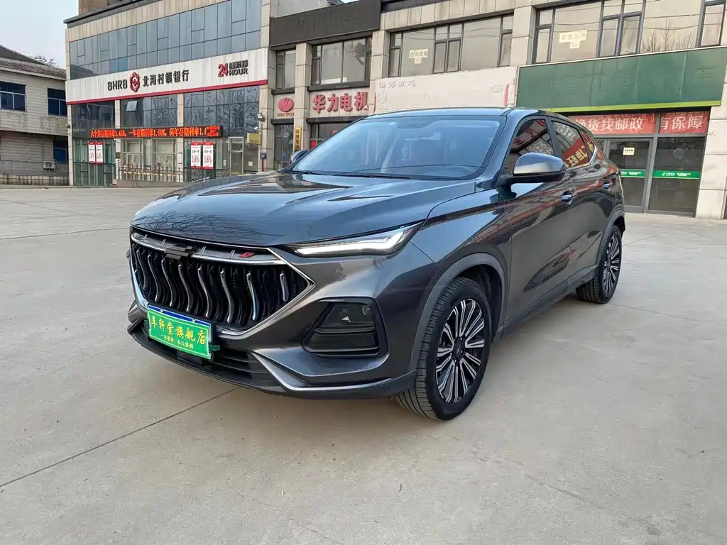 Oshan Oushang X5 2021 — фото 2