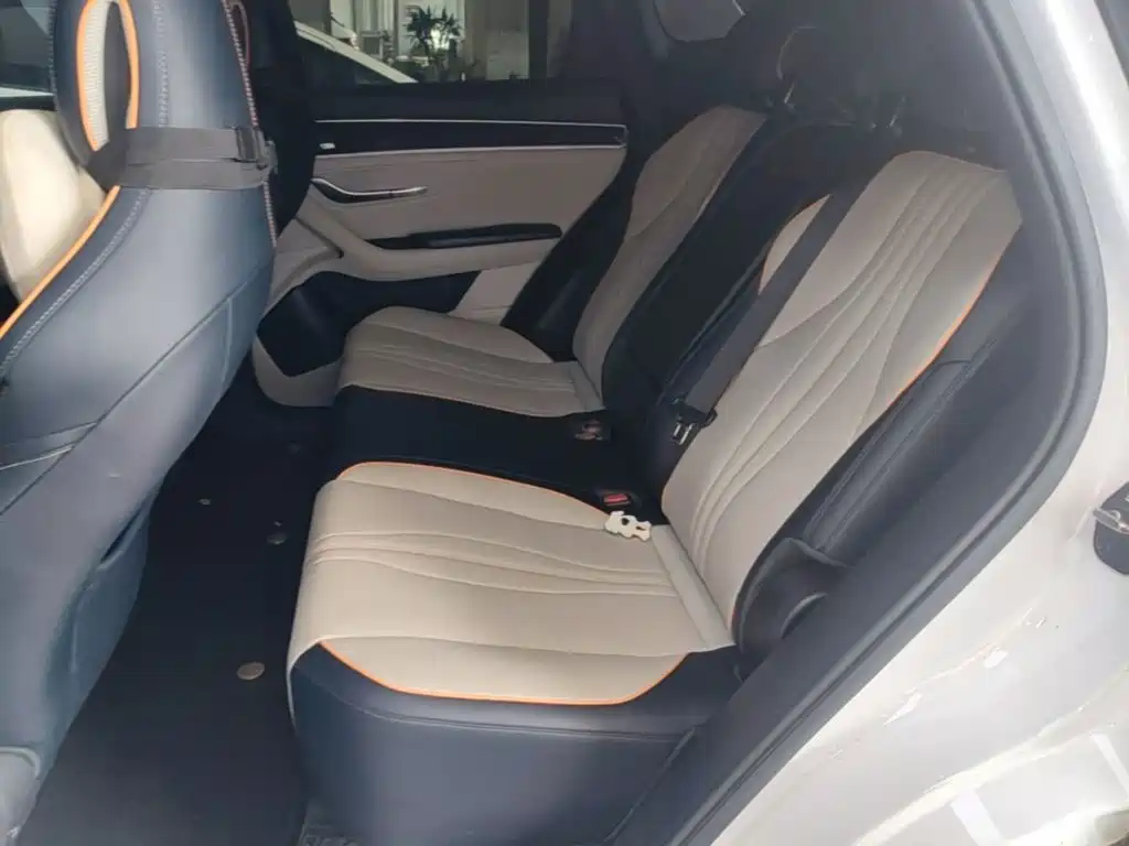 BYD Song PLUS New Energy 2021 — фото 17