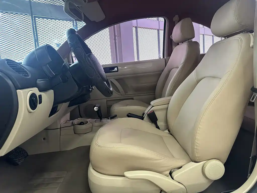 Volkswagen Beetle 2010
