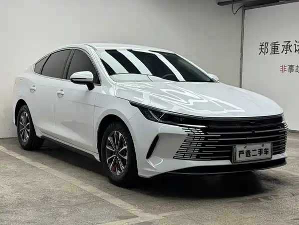 BYD Destroyer 05 2024