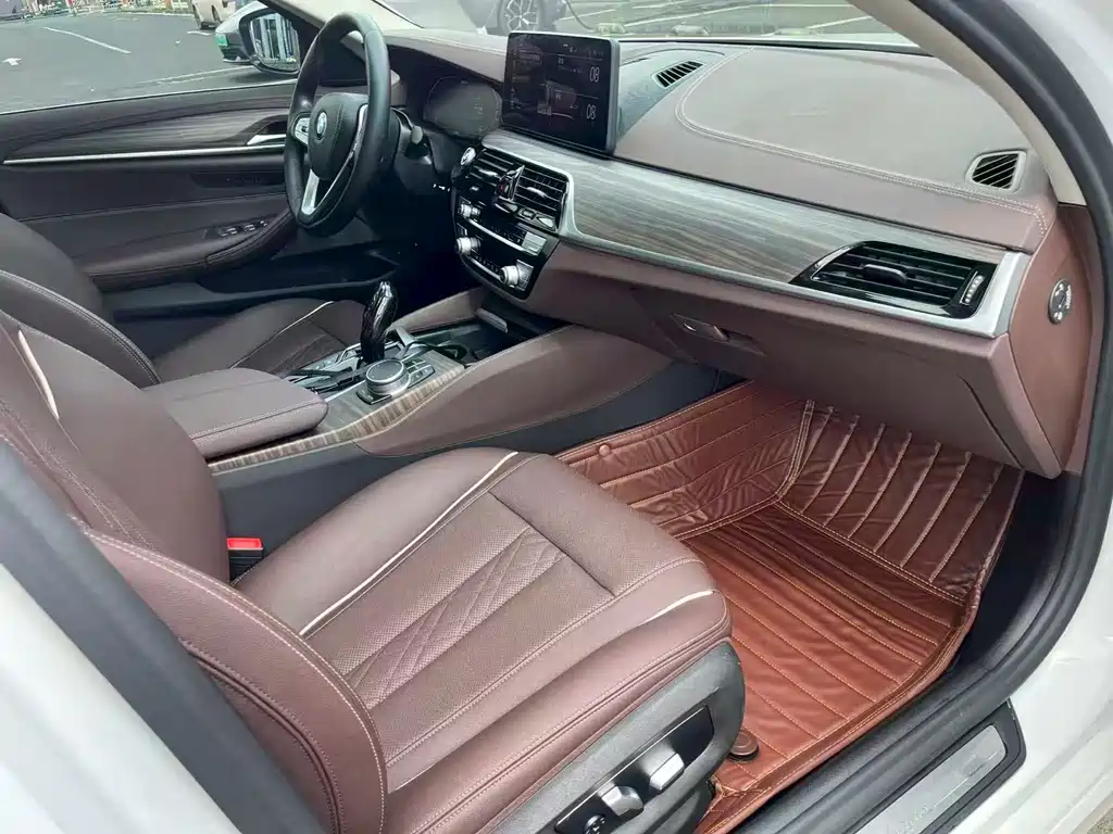 BMW 5 Series New Energy 2021