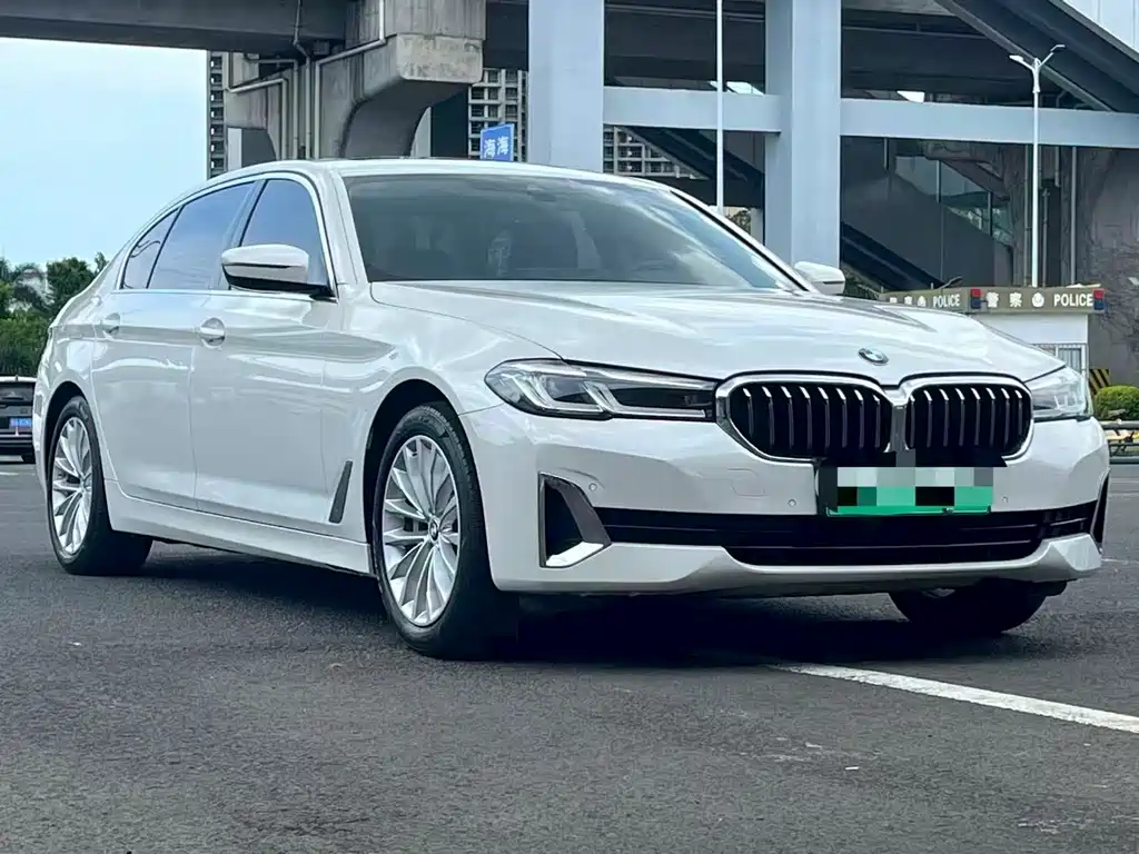 BMW 5 Series New Energy 2021