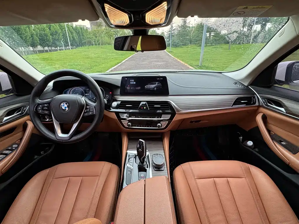 BMW 5 Series New Energy 2018