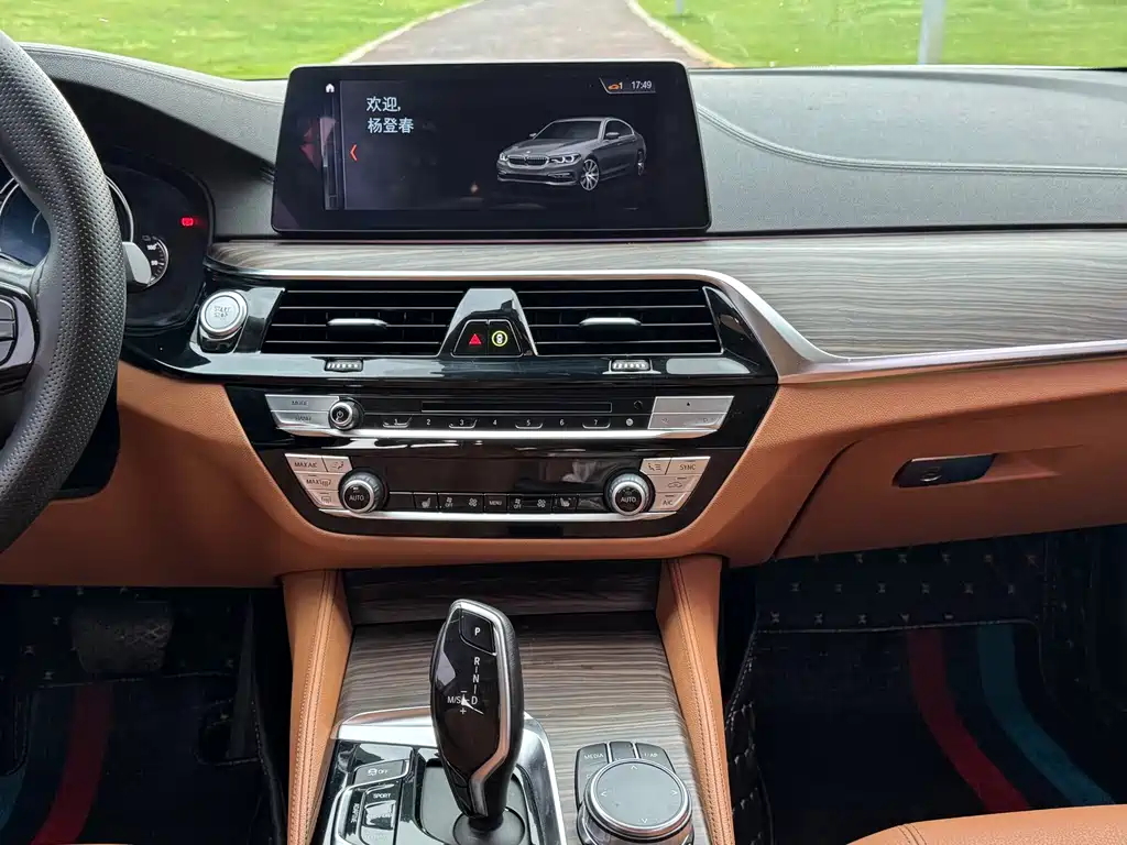 BMW 5 Series New Energy 2018