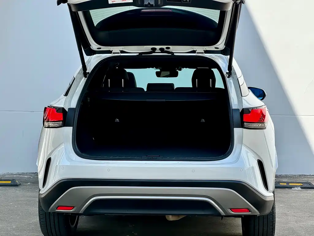 Lexus RX 2024 — фото 14