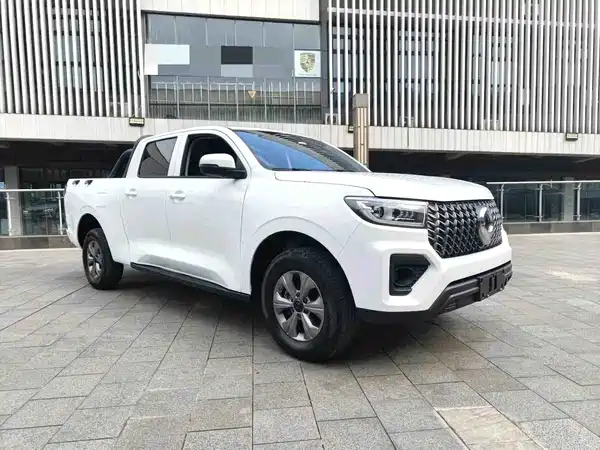 Great Wall Poer 2025