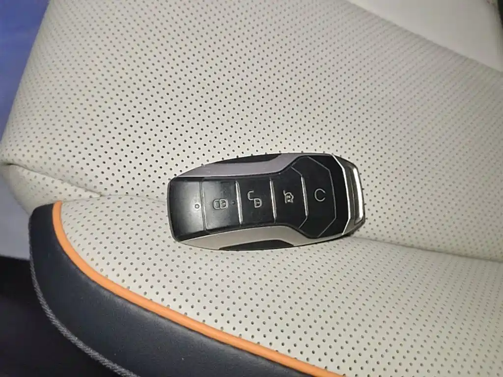 BYD Song PLUS New Energy 2022 — фото 9