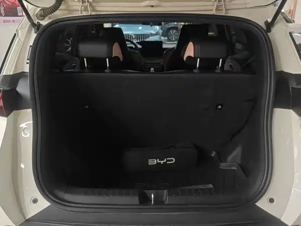 BYD Seagull 2024