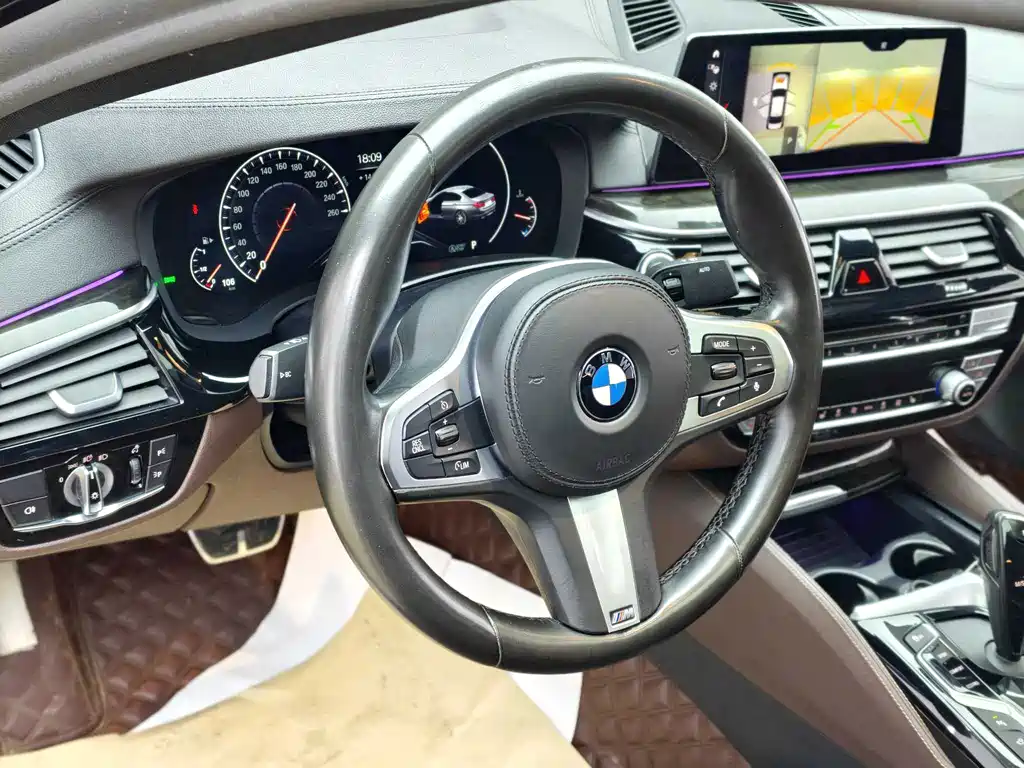BMW 5 Series 2019 — фото 13