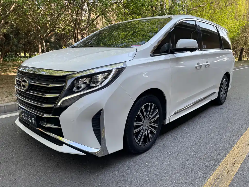 GAC Motor Trumpchi M8 2021 — фото 1