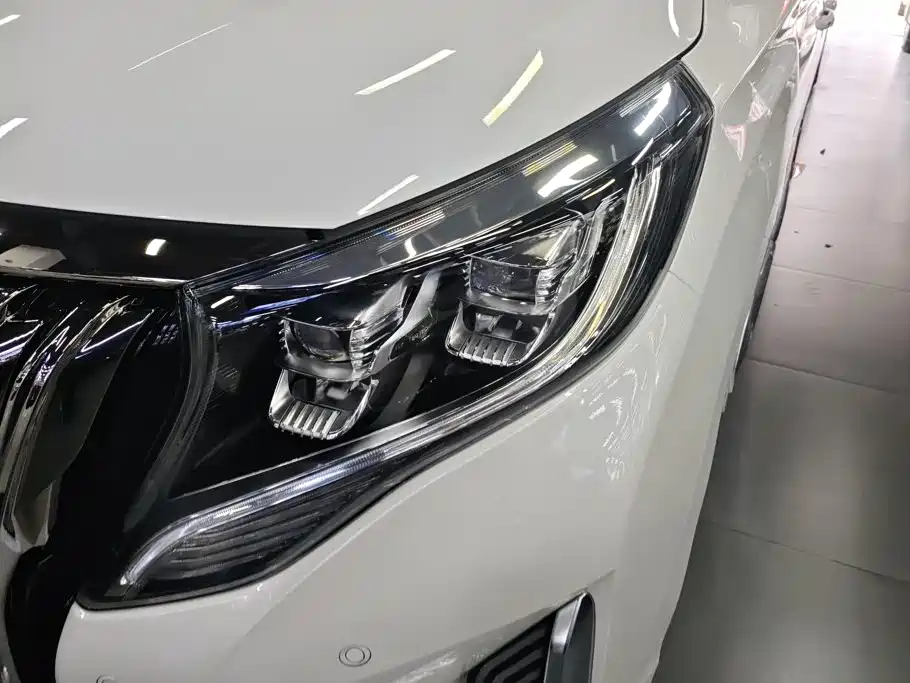 GAC Trumpchi M8 2021 — фото 5