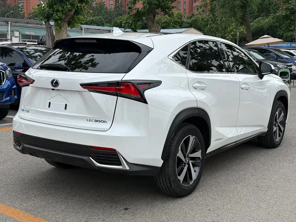Lexus NX 2019 — фото 16