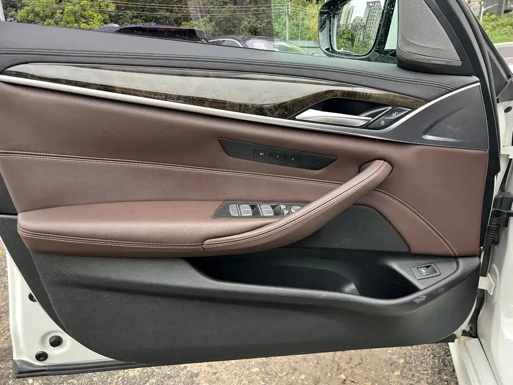 BMW 5 Series 2019 — фото 10