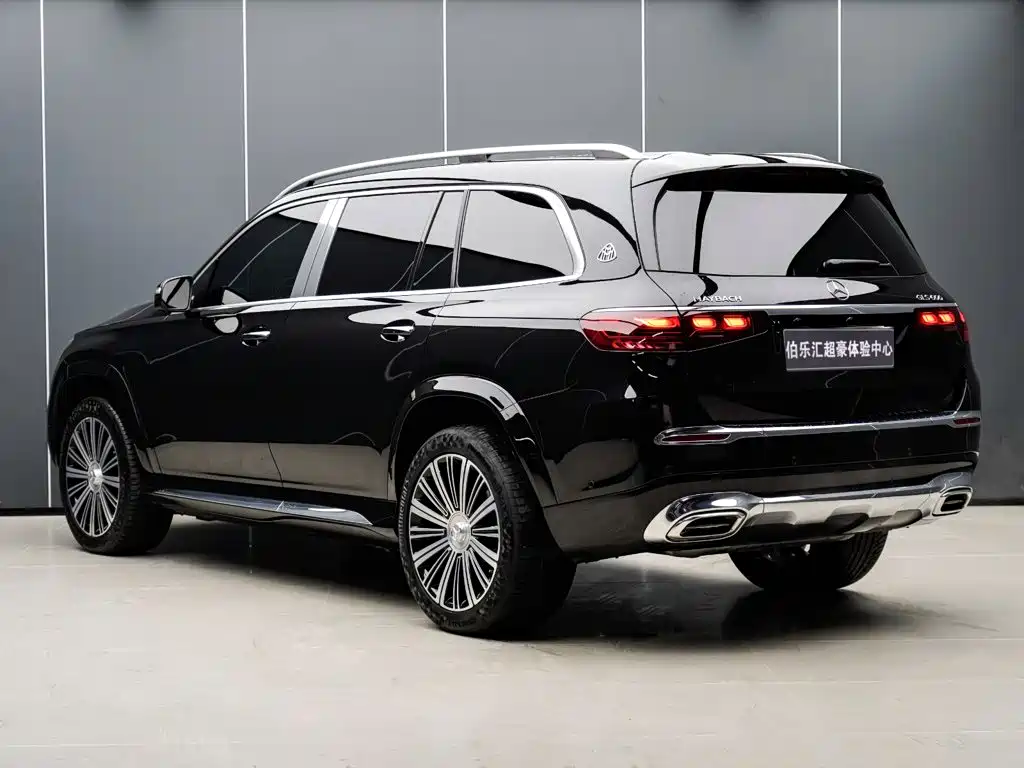 Mercedes-Benz Maybach GLS 2024 — фото 16