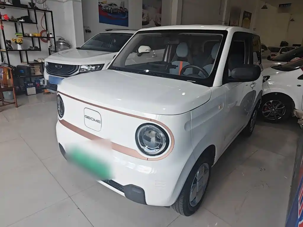 Geely Galaxy Panda 2025 — фото 2