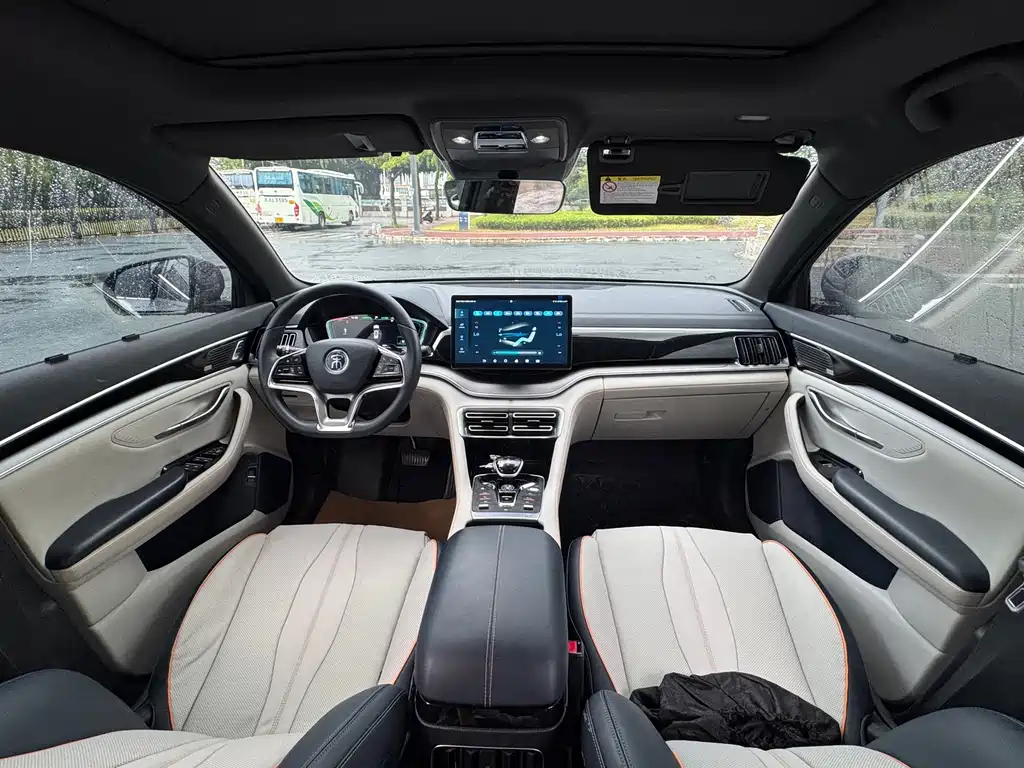 BYD Song PLUS New Energy 2021 — фото 10