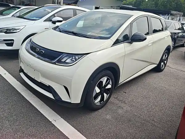 BYD Dolphin 2024