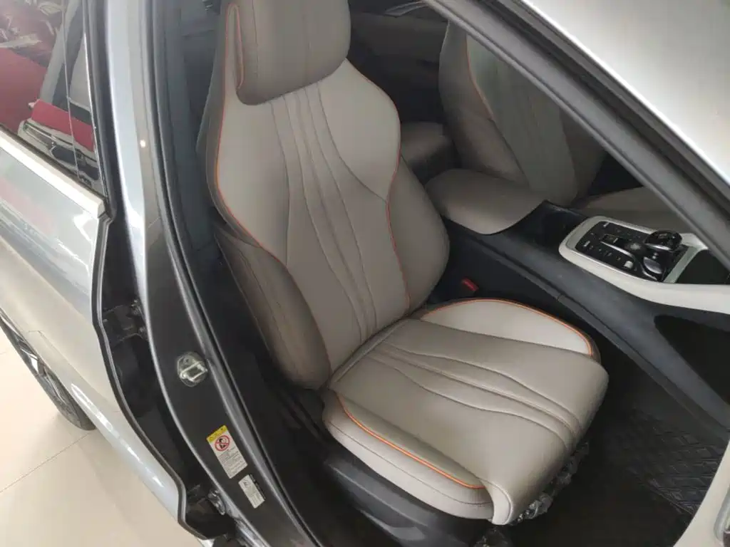 BYD Song Pro New Energy 2025 — фото 25