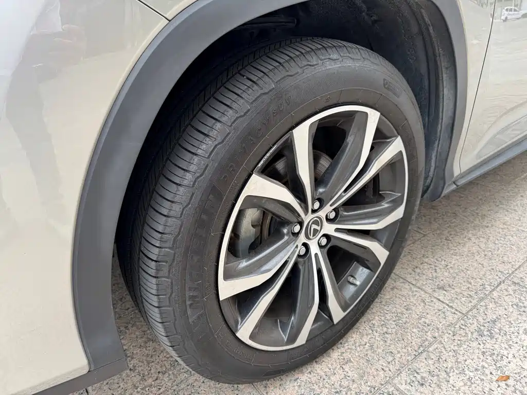 Lexus RX 2019 — фото 19