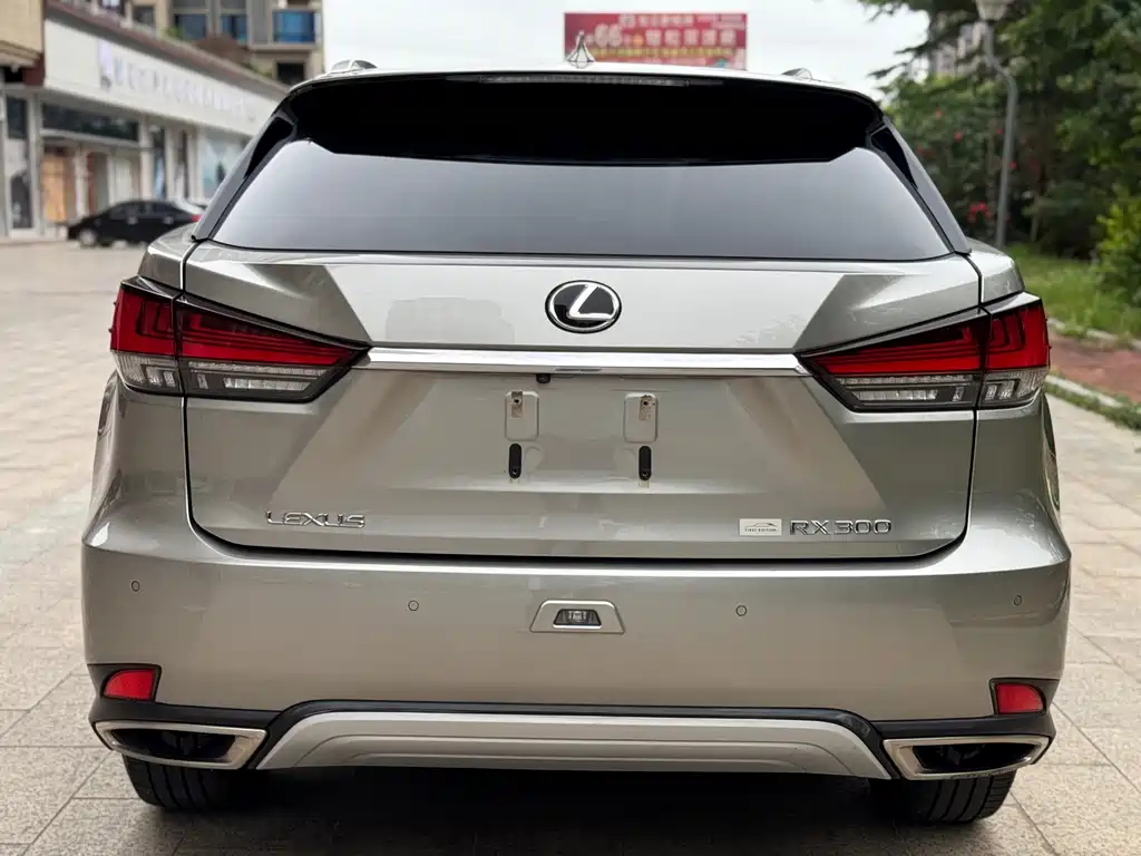 Lexus RX 2019 — фото 4