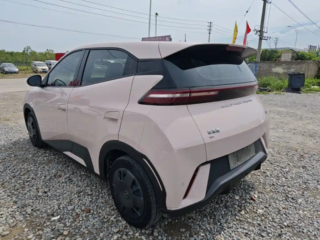 BYD Seagull 2024