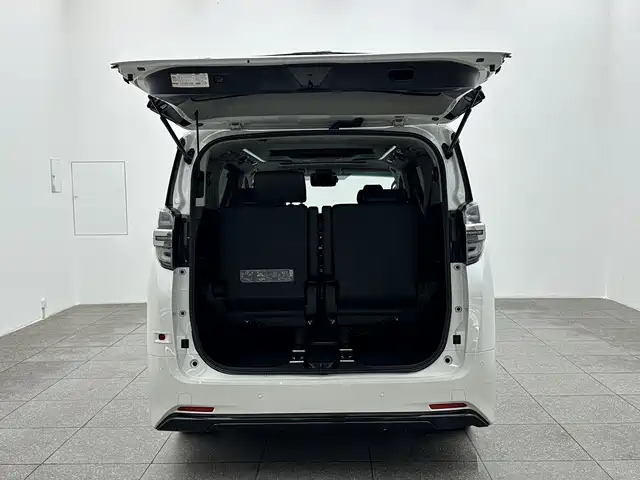 Toyota Alphard 2019 — фото 15