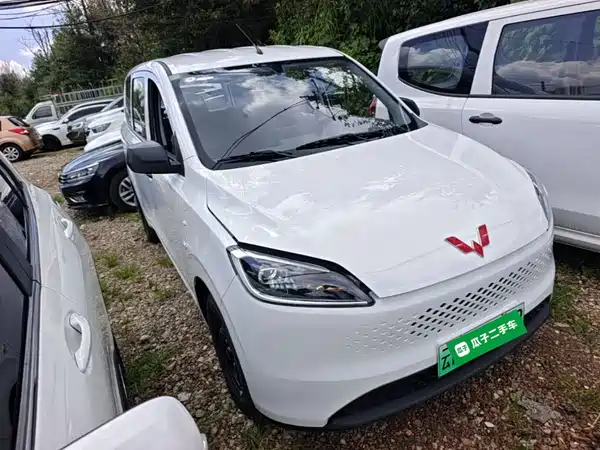 Wuling Hongguang New Energy 2026