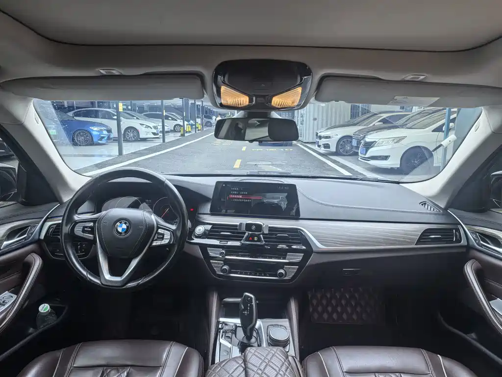 BMW 5 Series New Energy 2019