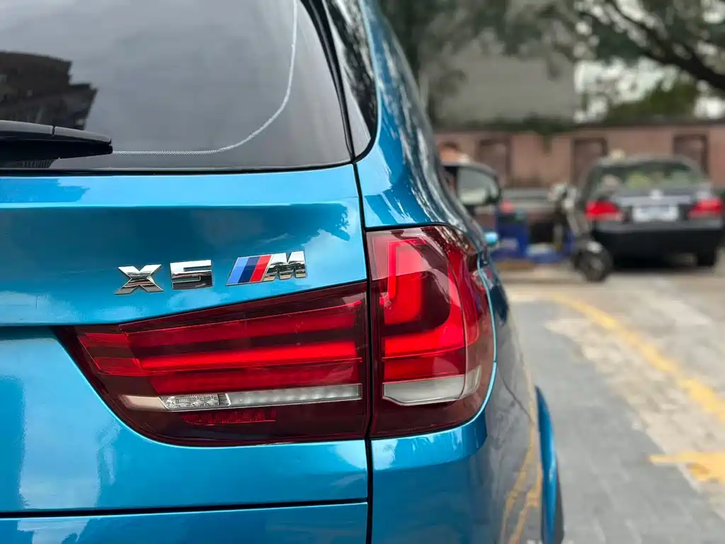 BMW X5 M 2017 — фото 21